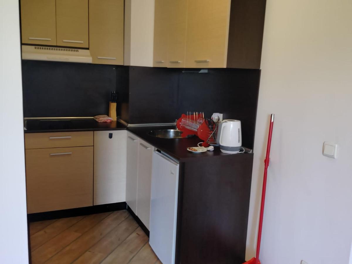 Alpine Lodge Bansko Apartments מראה חיצוני תמונה