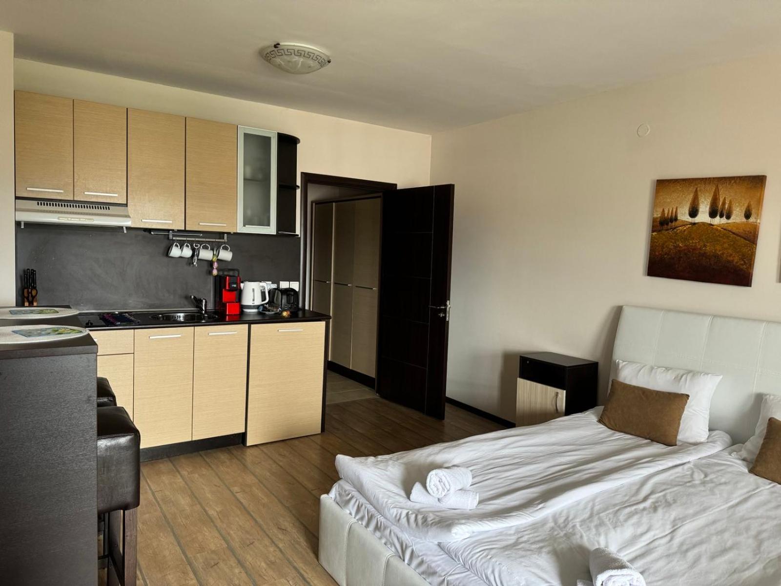 Alpine Lodge Bansko Apartments מראה חיצוני תמונה