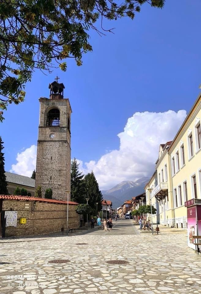 Alpine Lodge Bansko Apartments מראה חיצוני תמונה