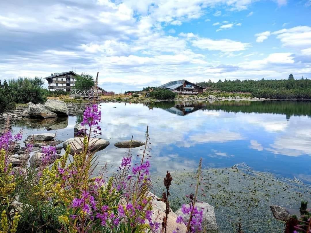 Alpine Lodge Bansko Apartments מראה חיצוני תמונה