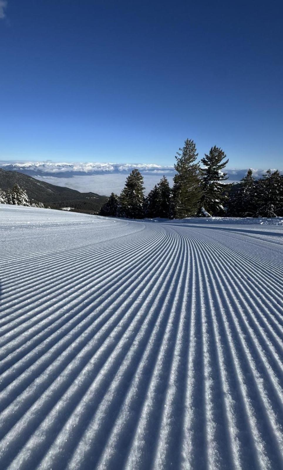 Alpine Lodge Bansko Apartments מראה חיצוני תמונה