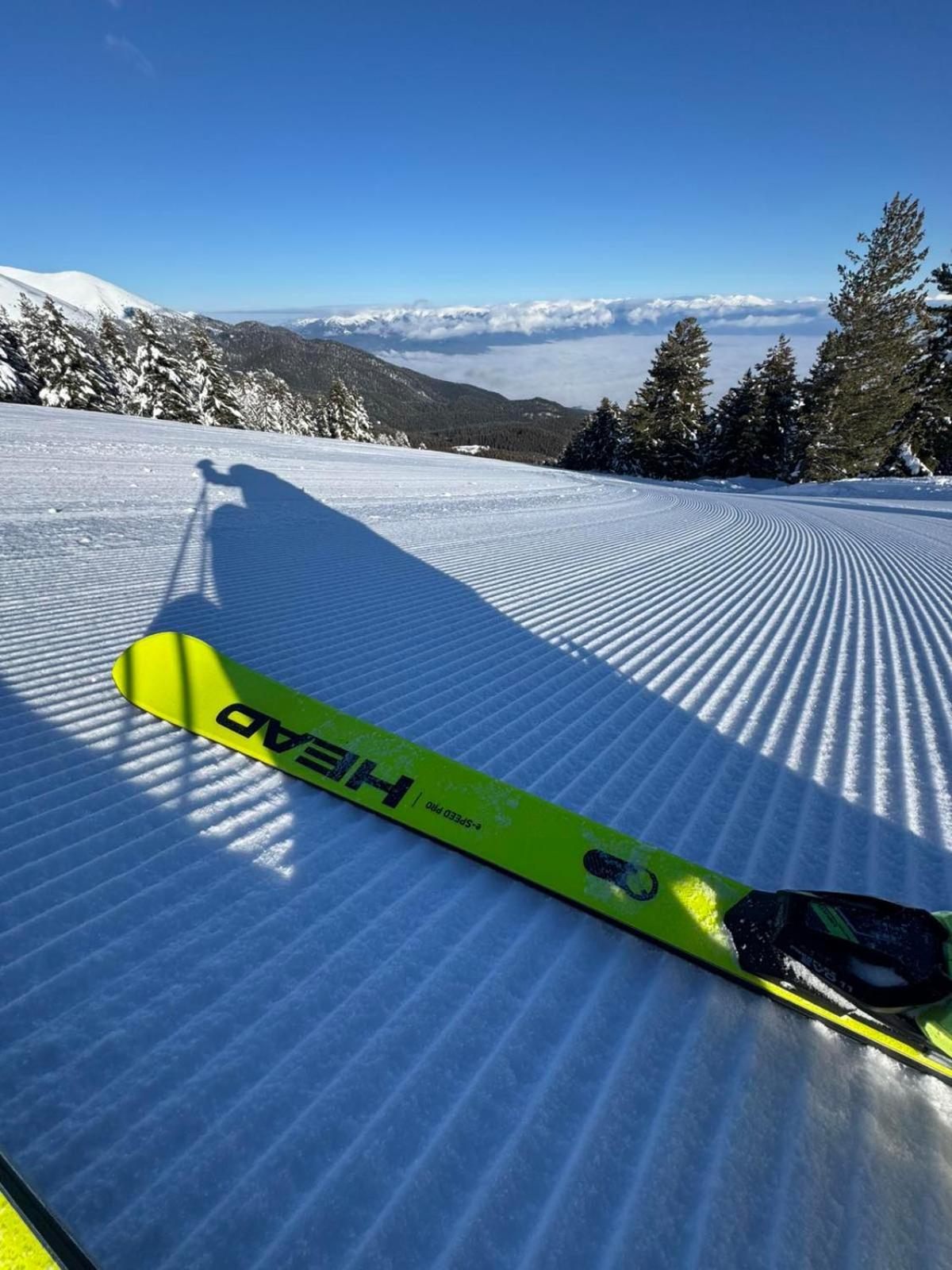 Alpine Lodge Bansko Apartments מראה חיצוני תמונה